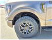 2023 Ford F-150 Tremor (Stk: U93758) in Hague - Image 10 of 15