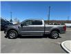 2024 Ford F-150 XLT (Stk: P25-16) in Embrun - Image 8 of 23