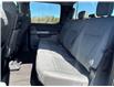 2024 Ford F-150 XLT (Stk: P25-16) in Embrun - Image 19 of 23
