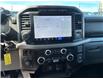 2024 Ford F-150 XLT (Stk: P25-16) in Embrun - Image 17 of 23