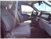 2024 Ford F-150 XLT (Stk: P25-16) in Embrun - Image 16 of 23