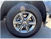 2024 Ford F-150 XLT (Stk: P25-16) in Embrun - Image 23 of 23