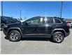 2019 Jeep Cherokee Trailhawk (Stk: 24-150A) in Embrun - Image 9 of 19