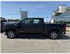2024 GMC Sierra 1500 Pro (Stk: 0150P) in Meaford - Image 8 of 13