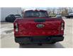 2025 Ford Ranger XLT (Stk: 25RN2) in GANANOQUE - Image 7 of 10