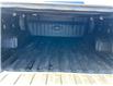 2022 Chevrolet Silverado 1500 LTD Custom Trail Boss (Stk: 25-082AA) in Embrun - Image 23 of 23