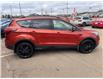 2019 Ford Escape Titanium in Charlottetown - Image 6 of 19