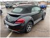 2019 Volkswagen Beetle 2.0 TSI Dune in Charlottetown - Image 7 of 19