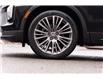 2024 Cadillac XT4 Premium Luxury (Stk: 25055A) in Ottawa - Image 3 of 25