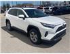 2025 Toyota RAV4 XLE (Stk: TB151) in Cobourg - Image 5 of 7