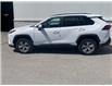2025 Toyota RAV4 XLE (Stk: TB151) in Cobourg - Image 4 of 7