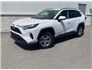 2025 Toyota RAV4 XLE (Stk: TB151) in Cobourg - Image 1 of 7