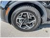 2024 Kia Sportage LX (Stk: 5K0131A) in Kamloops - Image 6 of 21