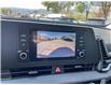 2024 Kia Sportage LX (Stk: 5K0131A) in Kamloops - Image 17 of 21