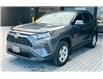 2019 Toyota RAV4 LE (Stk: 16104060A) in Markham - Image 3 of 19