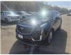 2024 Cadillac XT5 Premium Luxury (Stk: 162746) in London - Image 1 of 12
