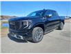 2025 GMC Sierra 1500 Denali Ultimate (Stk: 25473) in Haliburton - Image 3 of 19
