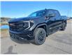 2025 GMC Sierra 1500 Elevation (Stk: 25414) in Haliburton - Image 3 of 17