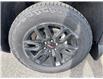2025 GMC Sierra 1500 Elevation (Stk: 25414) in Haliburton - Image 7 of 17