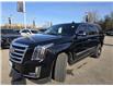 2019 Cadillac Escalade Premium Luxury (Stk: 149729) in London - Image 1 of 11
