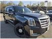 2019 Cadillac Escalade Premium Luxury (Stk: 149729) in London - Image 7 of 11