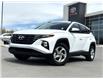 2023 Hyundai Tucson  (Stk: U241227W) in Cranbrook - Image 1 of 20