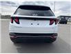 2023 Hyundai Tucson  (Stk: U241227W) in Cranbrook - Image 4 of 20
