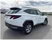 2023 Hyundai Tucson  (Stk: U241227W) in Cranbrook - Image 5 of 20