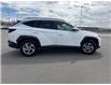 2023 Hyundai Tucson  (Stk: U241227W) in Cranbrook - Image 6 of 20