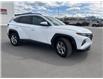 2023 Hyundai Tucson  (Stk: U241227W) in Cranbrook - Image 7 of 20