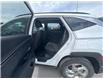 2023 Hyundai Tucson  (Stk: U241227W) in Cranbrook - Image 13 of 20