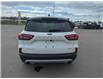 2023 Ford Escape  (Stk: UA21552W) in Cranbrook - Image 13 of 22
