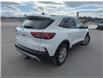 2023 Ford Escape  (Stk: UA21552W) in Cranbrook - Image 17 of 22