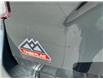 2022 Ford Explorer  (Stk: 5006281A) in Cranbrook - Image 17 of 18