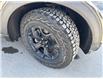 2022 Ford Explorer  (Stk: 5006281A) in Cranbrook - Image 18 of 18