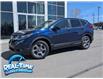2018 Honda CR-V EX (Stk: H25042B) in High River - Image 1 of 16