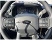 2025 Ford F-150 STX (Stk: VF1F00823) in Chatham - Image 14 of 19