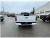 2025 Ford F-150 XLT (Stk: 5Z88) in Timmins - Image 4 of 15