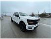 2025 Ford F-150 XLT (Stk: 5Z88) in Timmins - Image 7 of 15