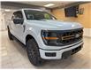 2025 Ford F-150 Tremor (Stk: NA96141) in Shellbrook - Image 8 of 23