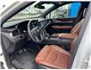 2019 Cadillac XT5 Luxury (Stk: B250204A) in Gatineau - Image 9 of 14