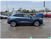 2020 Ford Escape Titanium Hybrid (Stk: U8799A) in Uxbridge - Image 8 of 28