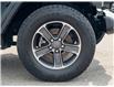 2023 Jeep Wrangler Sahara (Stk: WU7663) in Welland - Image 5 of 26
