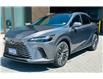 2023 Lexus RX 350h Base (Stk: 25101204A) in Markham - Image 3 of 10