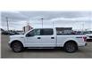 2020 Ford F-150 XLT (Stk: 45P25-051) in Grande Prairie - Image 3 of 23