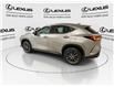 2024 Lexus NX 350h Base (Stk: 14109569A) in Markham - Image 6 of 25