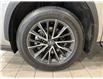 2024 Lexus NX 350h Base (Stk: 14109569A) in Markham - Image 11 of 25