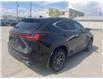 2024 Lexus NX 250 Base (Stk: CP12415) in Chatham - Image 4 of 9