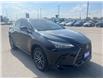 2024 Lexus NX 250 Base (Stk: CP12415) in Chatham - Image 2 of 9