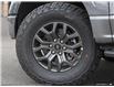 2025 Ford F-150 Tremor (Stk: XFP619) in Sarnia - Image 8 of 23